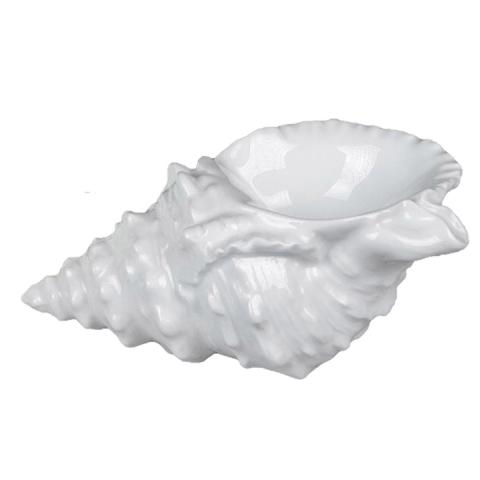 Muschel, gross, weiss