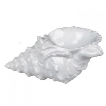 Muschel, gross, weiss